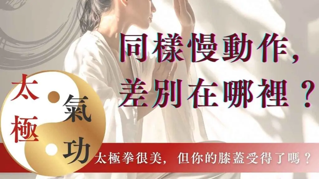 同樣慢動作，差別在哪裡？太極是武術美學；白雁氣功是身體修護術