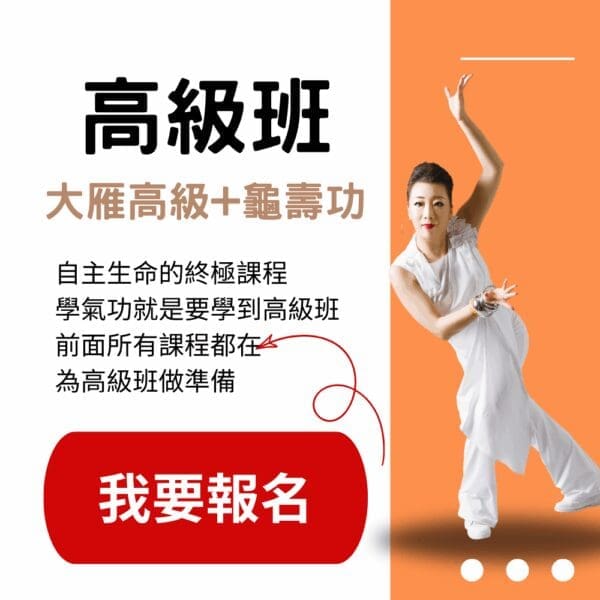 2026高級班-大雁高龜壽 (需學過大雁/回春,原價NT$167,000,全球統一價NT$81,000):圖片 2