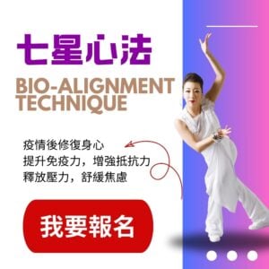 七星心法靜功 (高級進階靜功課程)