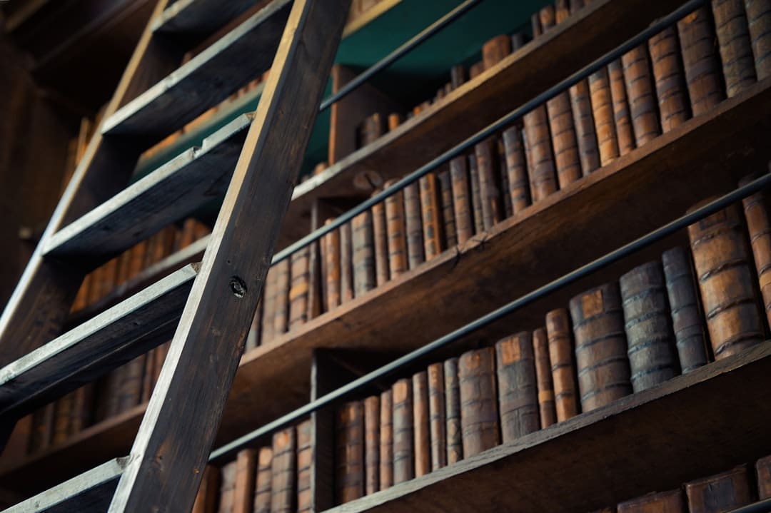 Photo by Jean Vella a ladder leaning against a bookshelf filled with books
